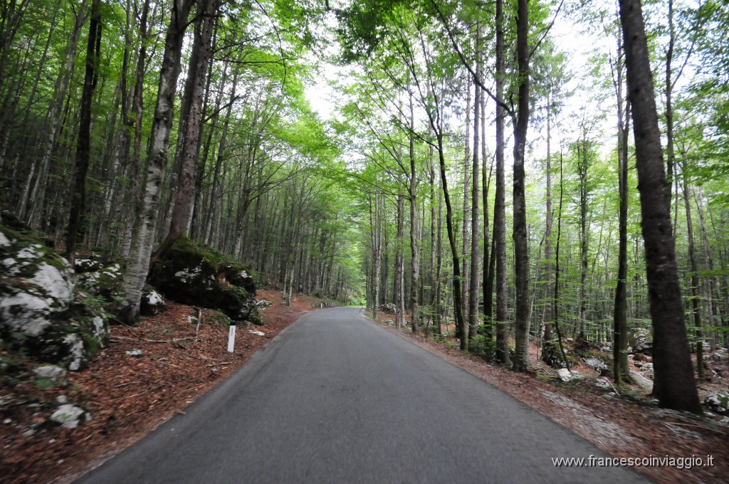 Verso le Cascate di Savica 2011.07.30_5.JPG